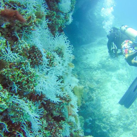 Remora Inn Faafu Atoll Ngoại thất bức ảnh