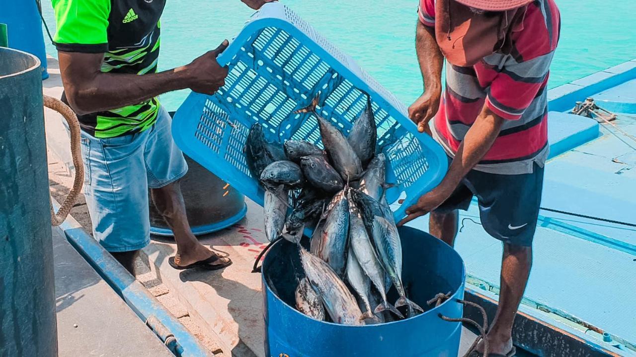 Remora Inn Faafu Atoll Ngoại thất bức ảnh