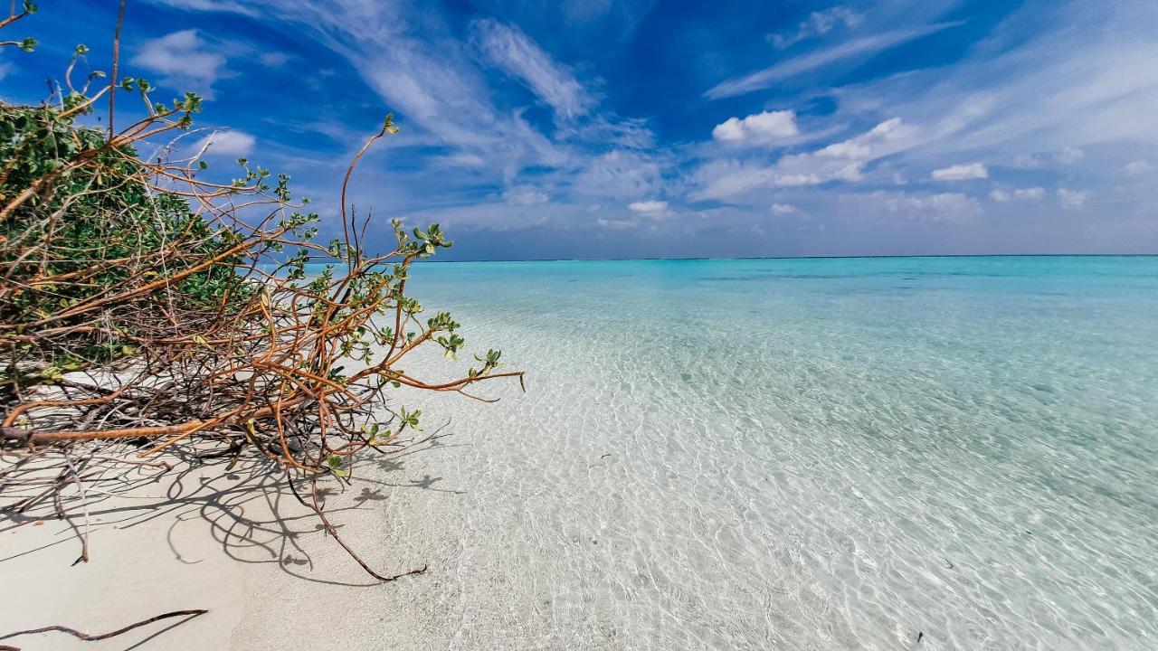 Remora Inn Faafu Atoll Ngoại thất bức ảnh