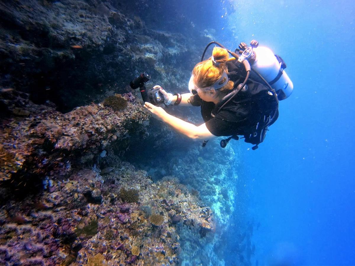 Remora Inn Faafu Atoll Ngoại thất bức ảnh