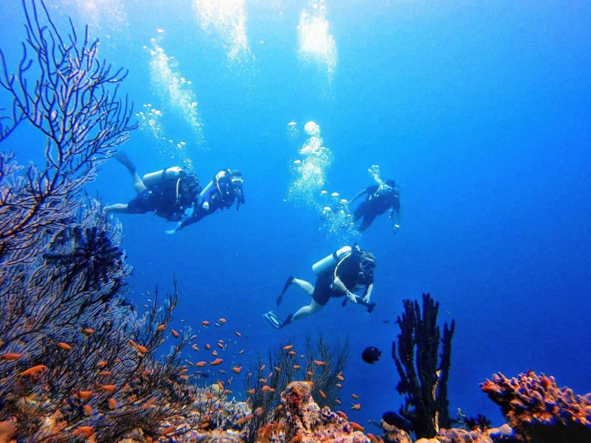 Remora Inn Faafu Atoll Ngoại thất bức ảnh