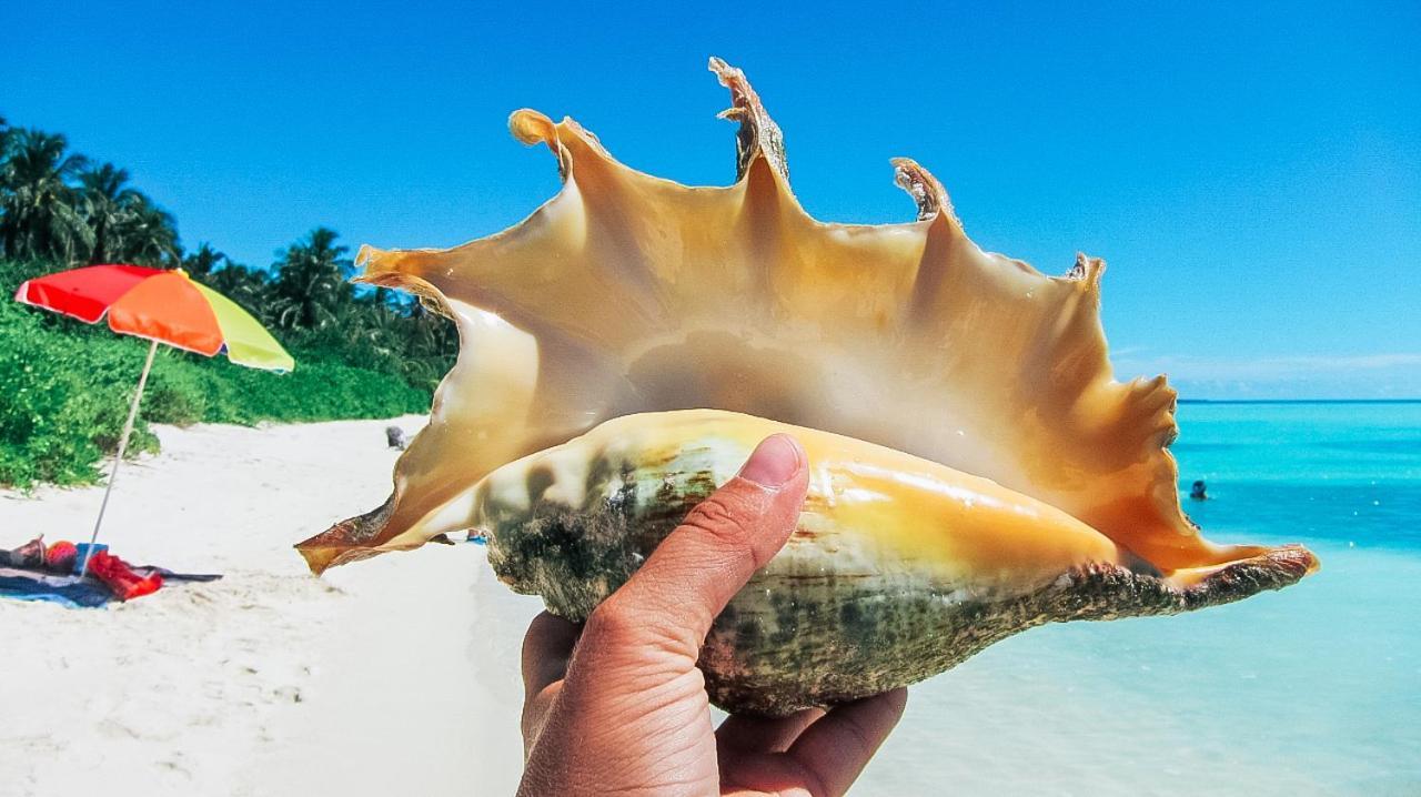 Remora Inn Faafu Atoll Ngoại thất bức ảnh