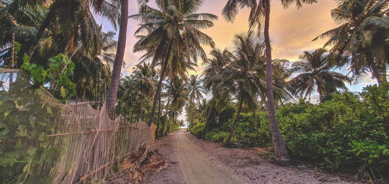 Remora Inn Faafu Atoll Ngoại thất bức ảnh